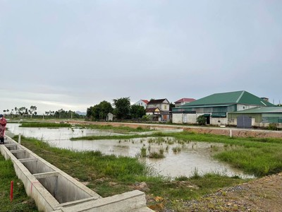 Cơ Hội Đâù Tư Sinh Lời 2
