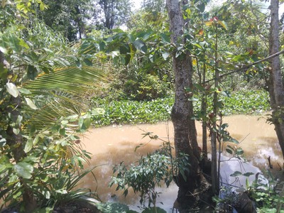 Nhà đẹp 104m  giá rẻ tân phú đông, thành phố sa đéc 2