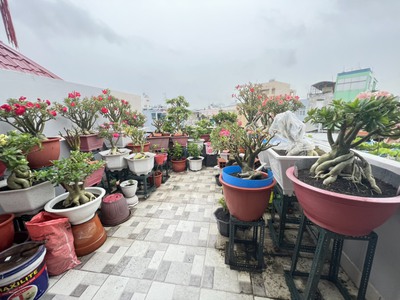 Định cư nước ngoài cần bán gấp nhà bình thới q11 - hẻm xe tải- 5 tầng btct- 4mx15.5 62m2 0