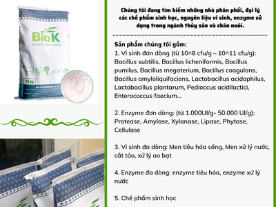 GIA CÔNG sản phẩm nguyên liệu Enzyme đơn dòng, đa dòng cho thuốc và thực phẩm  thủy sản, chăn nuôi 2