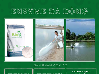 GIA CÔNG sản phẩm nguyên liệu Enzyme đơn dòng, đa dòng cho thuốc và thực phẩm  thủy sản, chăn nuôi 1