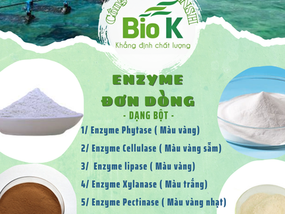 GIA CÔNG sản phẩm nguyên liệu Enzyme đơn dòng, đa dòng cho thuốc và thực phẩm  thủy sản, chăn nuôi 0