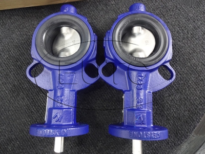 Van bướm Keystone 1