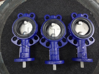 Van bướm Keystone 2