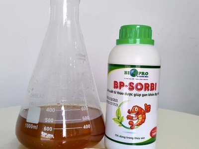BP   SORBI  Thuốc giải độc gan, bổ gan tôm cá chiết xuất từ thảo dược 0