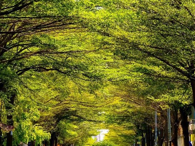 Bán căn góc lầu cao quận bình tân giáp quận 8 chỉ 1.55 tỷ căn sh riêng 4