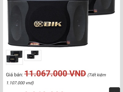 Loa Bik Nhật bas 25 xịn 5