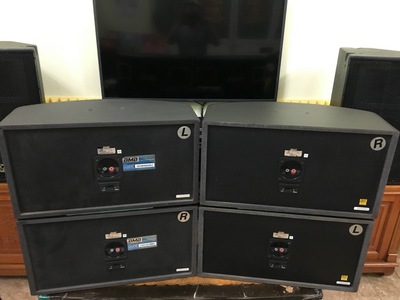 Loa bmb 450(c) chuẩn xịn 1