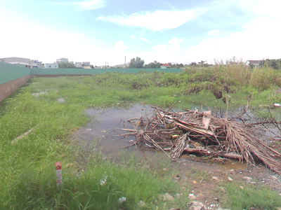 Kẹt tiền quá bán lẹ đất vườn Bình Chánh 400m2 có 80m2 thổ 0