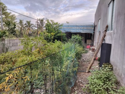 Bán nền mt trương văn diễn nhà cấp 4 siêu đẹp  ô môn cần thơ 3
