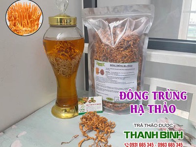 Đông trùng hạ thảo có công dụng gì 0