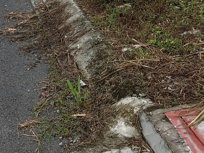 Đất nền giá rẻ gần chợ bến cát 3