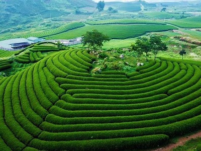 Tour du lịch hấp dẫn 1