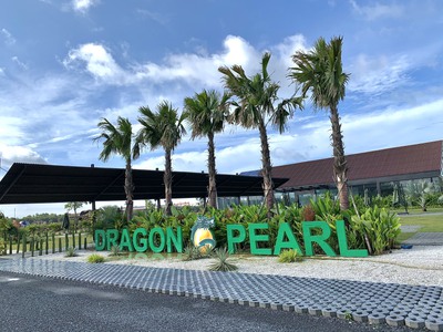 Chính thức booking block đẹp nhất dự án dragon pearl 1