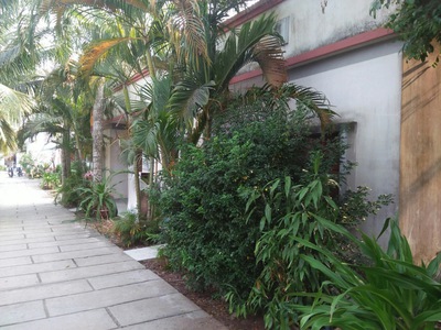 Nhà trọ Củ Chi sân vừơn thoáng mát 3