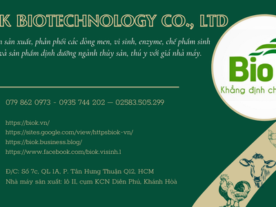 Enzyme xử lý nước, cắt tảo BIOK​ 3