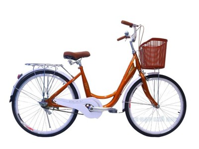 Xe Đạp Phổ Thông 24 Inch Vicky VM24 0