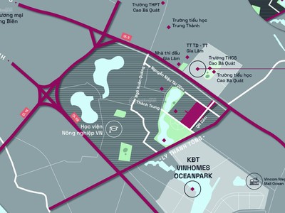 Suất ngoại giao đường 22m giá rẻ tq5 gia lâm 4