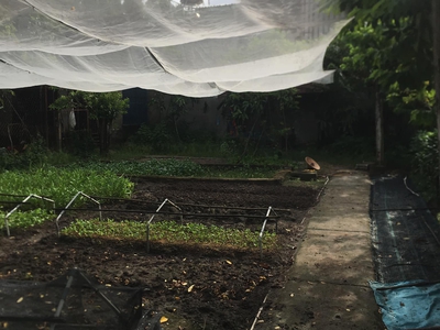 Chính chủ gửi bán biệt thự quận sơn trà,2 tầng150m2.giá nhỉnh 7 tỷ,đường phan bá vành,thông võ 2