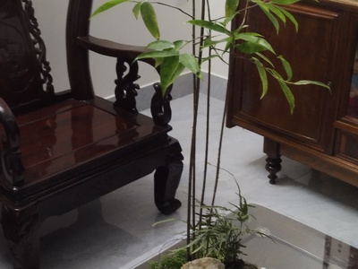 Bán đất thổ cư Trung hành 8 đằng Lâm Hải An Hải Phòng 1