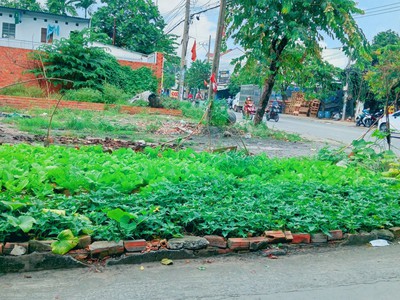 Cần bán lô đất mặt tiền Dĩ An 1
