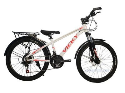 Xe Đạp Thể Thao 24 Inch Vicky Vic24 New Có Đề 0