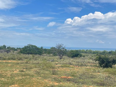 Cần Bán 3100m2 Đất View Biển, Cách Đường DT716 800m 1