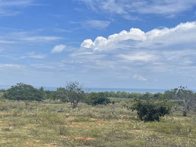Cần Bán 3100m2 Đất View Biển, Cách Đường DT716 800m 2