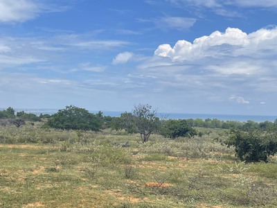 Cần Bán 3100m2 Đất View Biển, Cách Đường DT716 800m 3
