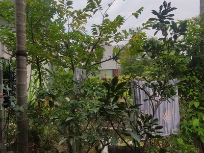 Cần bán GẤP lô đất ĐẸP 55m mặt tiền 4.2m Trung tâm Thị Trấn Cát Hải 1