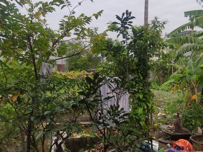 Cần bán GẤP lô đất ĐẸP 55m mặt tiền 4.2m Trung tâm Thị Trấn Cát Hải 2