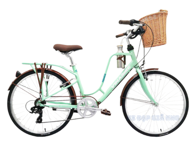 Xe Đạp Thể Thao Nữ 26 Inch VinaBike 0