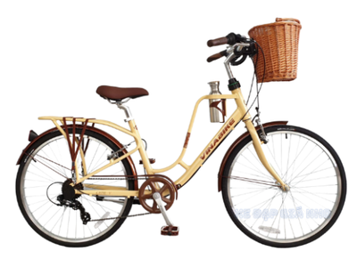 Xe Đạp Thể Thao Nữ 26 Inch VinaBike 1