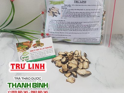 Cách sử dụng trư linh trong điều trị bệnh 0