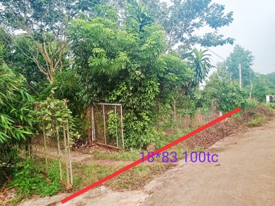 Chính chủ bán 18m mặt tiền tặng nhà ngay trung tâm hành chính huyện Bù Đốp chỉ 2 tỷ 610 tr 2