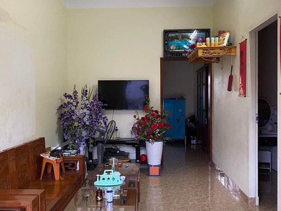 Chính chủ bán 2 căn nhà 1 tầng nằm trên DT đất gần 600m2 - Full thổ cư. Tân Viên, An Lão 2