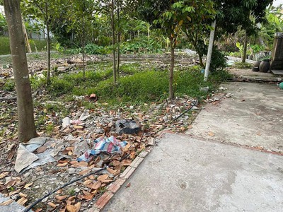 Chính chủ bán 2 căn nhà 1 tầng nằm trên DT đất gần 600m2 - Full thổ cư. Tân Viên, An Lão 4