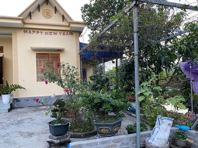 Chính chủ bán 2 căn nhà 1 tầng nằm trên DT đất gần 600m2 - Full thổ cư. Tân Viên, An Lão 5