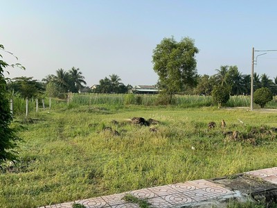 Bán đất nền mặt tiền thổ cư KCN Tân Hương Tiền Giang 2