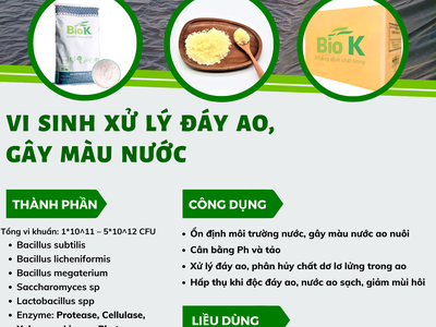 Vi sinh xử lý đáy ao, gây màu nước 1
