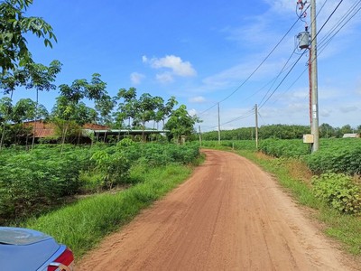 Nợ ngân hàng cần bán phước vinh full thổ 250m2 giá 490tr 2