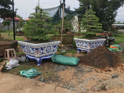 Cơ sở chậu hoa Thế Sơn - chậu hoa dán sành sứ - chậu khảm sành - cẩn miễng 6