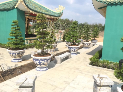 Cơ sở chậu hoa Thế Sơn - chậu hoa dán sành sứ - chậu khảm sành - cẩn miễng 7