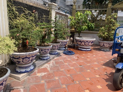 Cơ sở chậu hoa Thế Sơn - chậu hoa dán sành sứ - chậu khảm sành - cẩn miễng 15