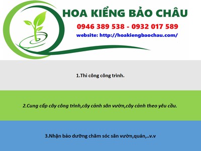 Cung cấp cây cảnh và bảo dưỡng cây tại nhà 0