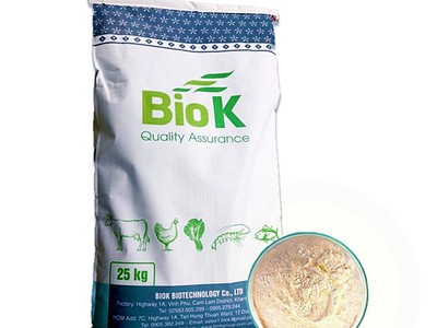 Biok - Enzyme xử lý nước - cắt tảo BIOK 2