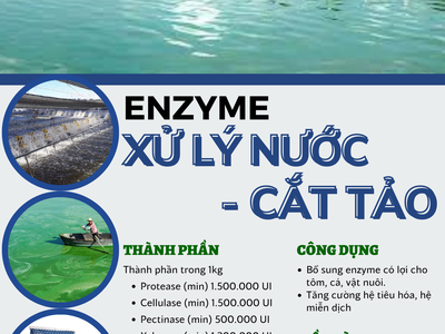 Biok - Enzyme xử lý nước - cắt tảo BIOK 0