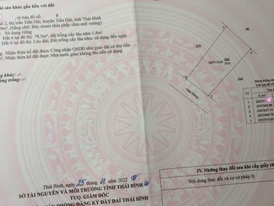 Bán gấp lô đất chính chủ tại tiền hải thái bình 0
