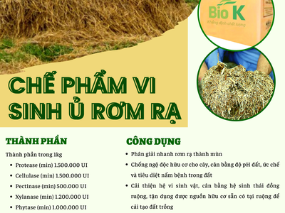Chế phẩm vi sinh ủ rơm rạ Biok 0
