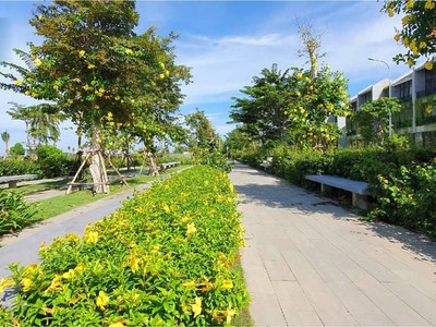 Sỡ hữu biệt thự Hội An 4PN, view rừng dừa - KD lưu trú 5TR/Đêm, hơn 8 năm hoàn vốn 6